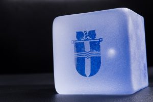 Volitve predstavnikov študentov v organih FVV